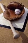 Baseball and Politics
