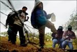 Mexican Cartels Gun Down 72