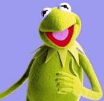 Man Choreographs Kermits