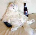 America's Laziest State has been Announced...