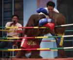 The Main Event