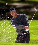 Tiger's Losing It