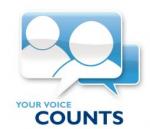The American Voice